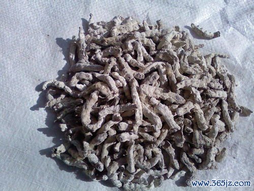 僵蚕化痰，牵正散