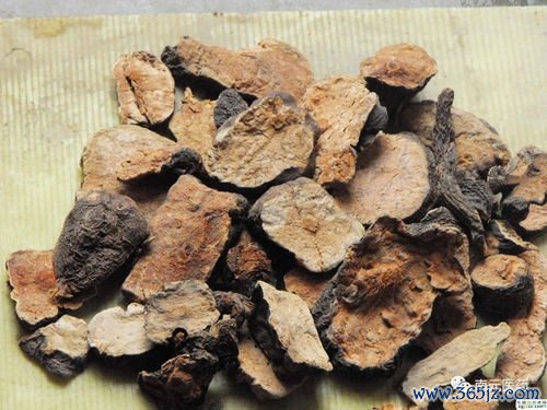 何首乌乌发，首乌延寿丹