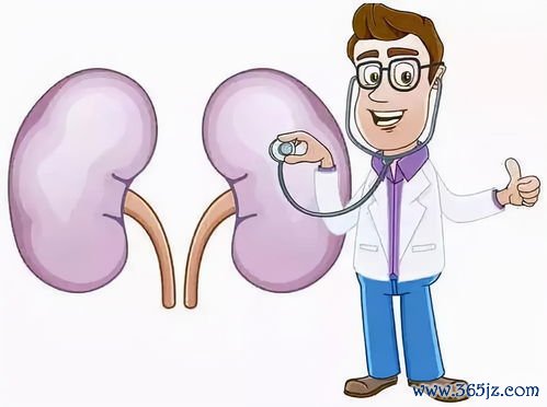 冠脉造影：造影剂伤肾肾功能不好的人要注意什么？