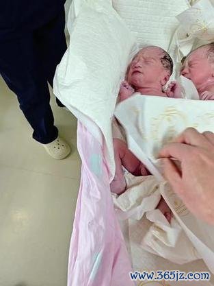 做双胞胎试管婴儿多少钱