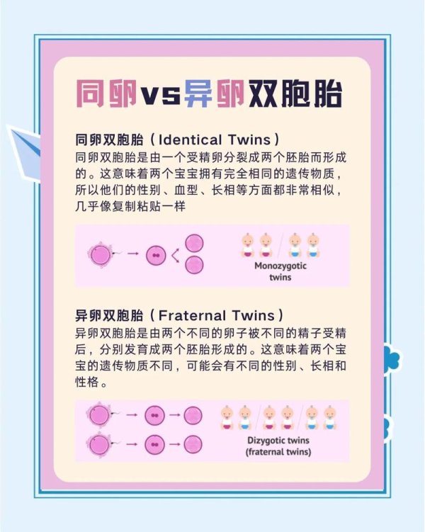 双胞胎,试管婴儿,少钱