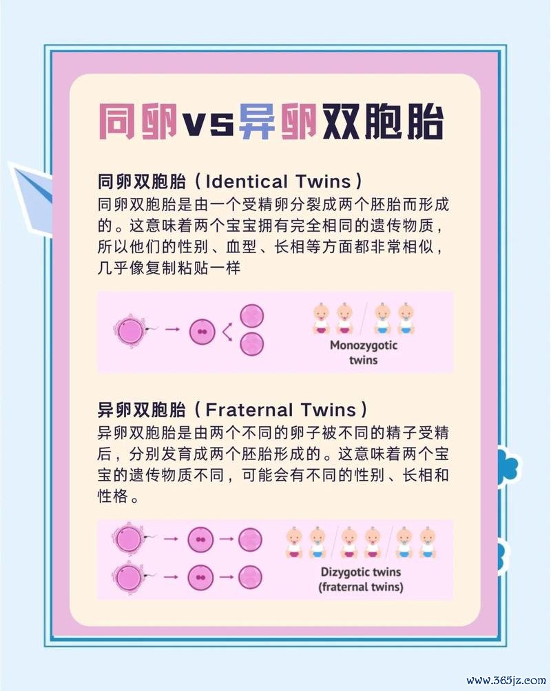 做双胞胎试管婴儿多少钱