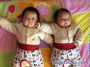 做试管婴儿价格多少钱