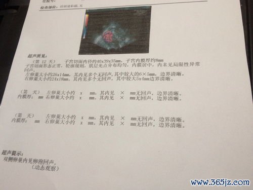 卵巢大小多少是正常的