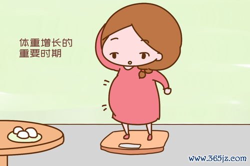 孕晚期营养:孕晚期,怎么吃能预防巨大儿? 孕晚期营养:孕晚期,怎么吃能预防巨大儿?