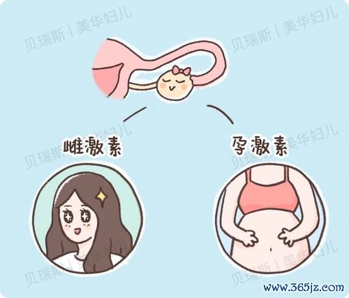 卵巢性闭经还能怀孕吗