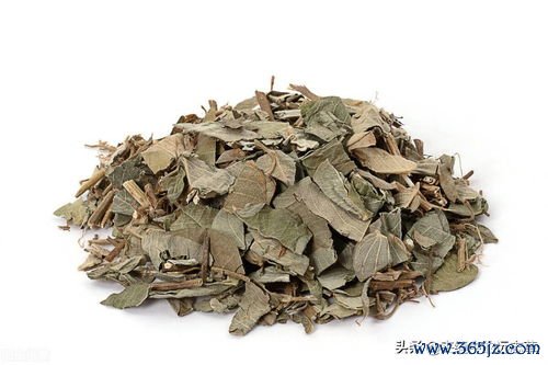 儿茶清热，儿茶散