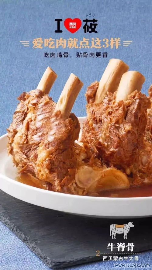 先煎,矿物,贝壳,龙骨,牡蛎