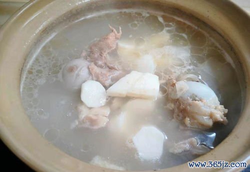 党参健脾，四君子汤