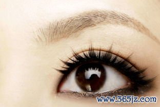 整形美容项目有哪些？整形美容与皮肤美容的区别及适应人群