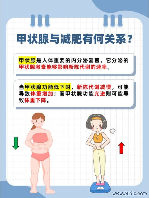 暴瘦减肥方法真的存在吗，医生揭秘快速瘦身的危害