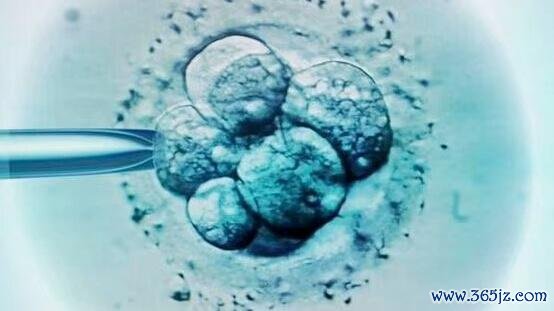 做试管婴儿三代