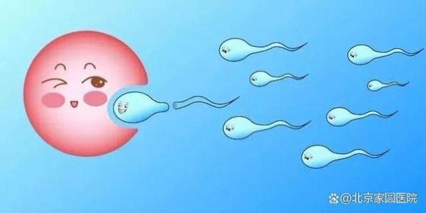 试管婴儿,宫外孕