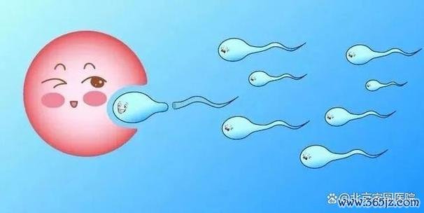 做试管婴儿会宫外孕吗