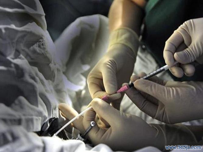 做试管婴儿价格多少，江西省妇保试管婴儿