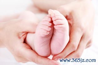 做试管婴儿全过程