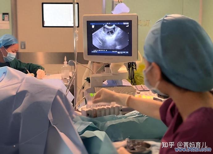 做试管婴儿全过程