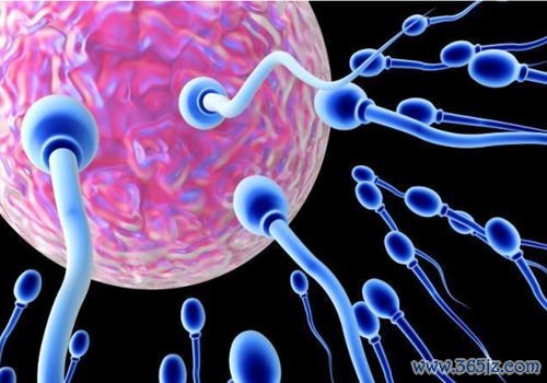 孕期补铁：孕期缺铁性贫血，怎么补铁？