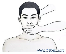 八段,调理,脏腑,双手,天理