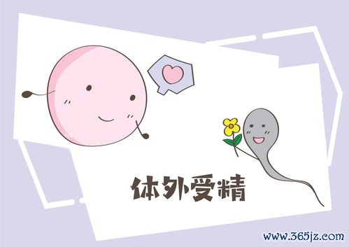 做试管婴儿全部费用大概是多少？输卵管不通