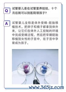 做试管婴儿具体流程