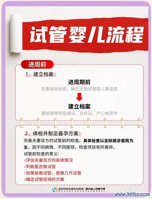 做试管婴儿全部过程，试管婴儿有哪些技术