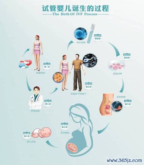 做试管婴儿前怎样调理