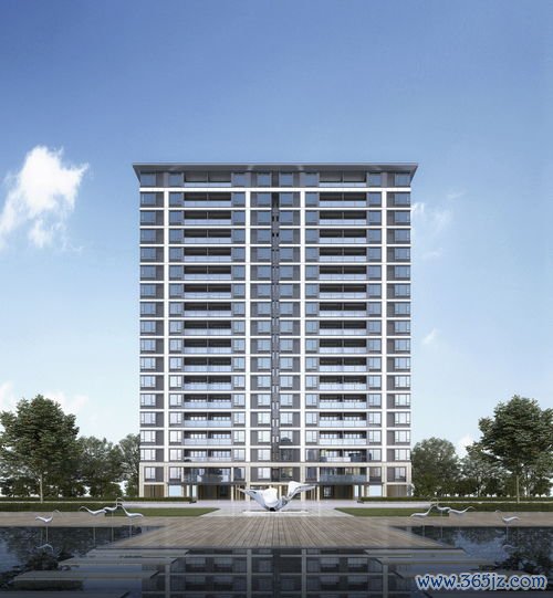 卵巢门血管搏动是怎么回事