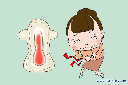 卵巢门血管搏动是怎么回事