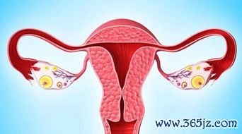 卵巢门血管搏动明显是什么原因需要治疗吗