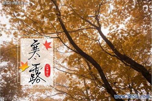 寒露吃什么养生,寒气初现要暖身 寒露吃什么养生,寒气初现要暖身