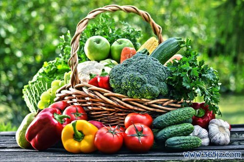 富含铁食物植物铁和动物铁哪个更好吸收 富含铁食物植物铁和动物铁哪个更好吸收