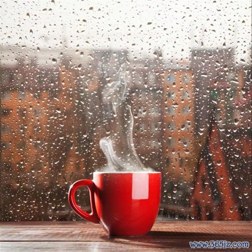 邪气,六淫,寒暑,湿燥,每一种