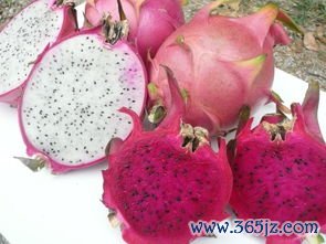 火龙果减肥还是增肥，红心和白心区别大