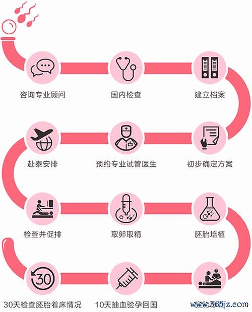 做试管婴儿前检查流程