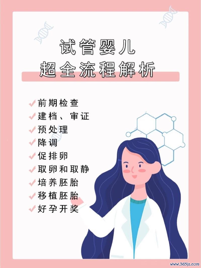 做试管婴儿前检查流程