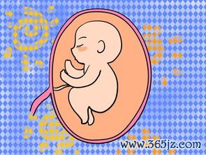 做试管婴儿前检查流程