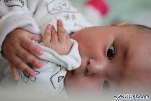 做试管婴儿前需要怎么调理身体