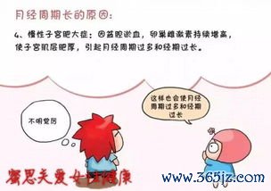 卵泡期多少天正常