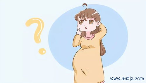 卵泡期多少天正常长短会影响怀孕吗