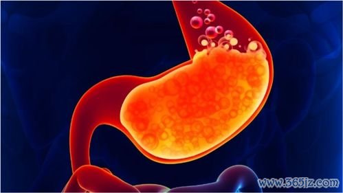 卵泡发育不良吃什么调理