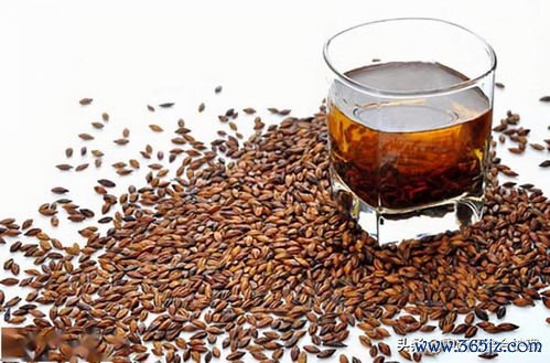 小雪吃什么养生，小雪温补肾阳