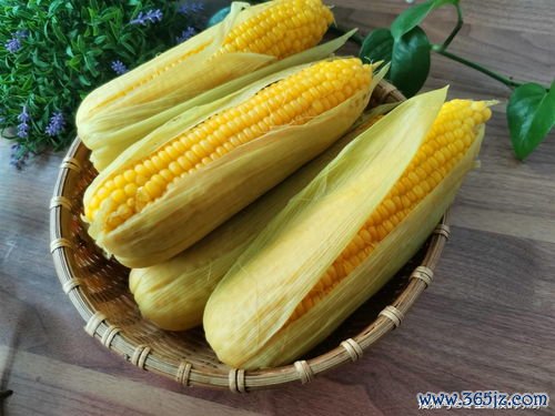 甜玉米和糯玉米哪个减肥效果好，热量和糖分全面对比