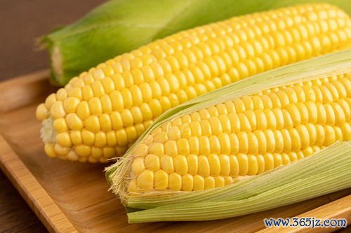 玉米,哪个,减肥,效果,热量