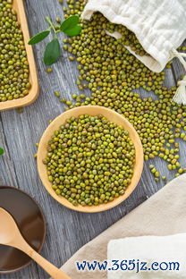 番泻叶可以减肥吗，番泻叶的危害