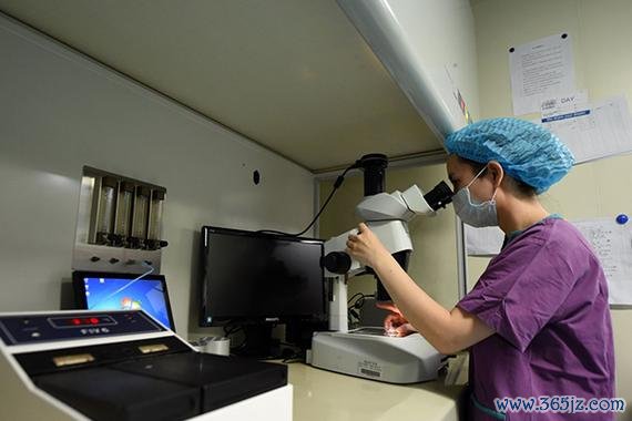 做试管婴儿北京哪里做的好