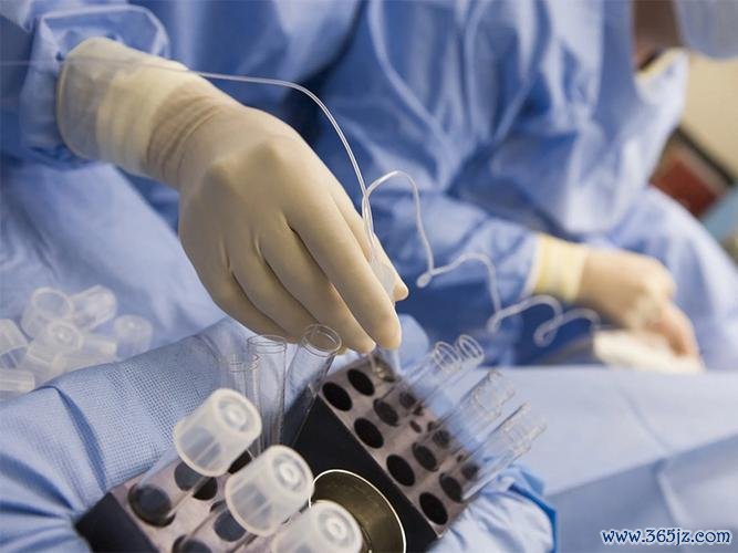 做试管婴儿北京哪里做的好