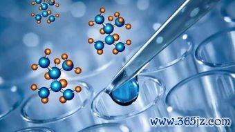 试管婴儿,医保,可以,报销