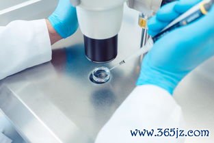 做试管婴儿医院哪家好？是否合法