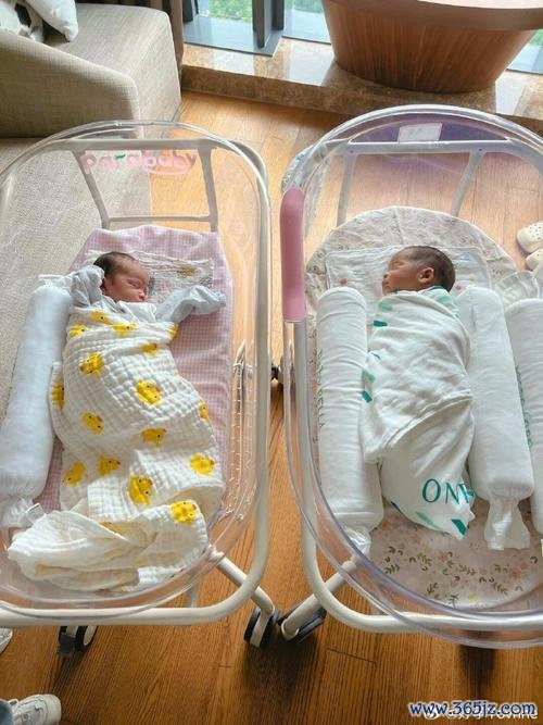 做试管婴儿去哪